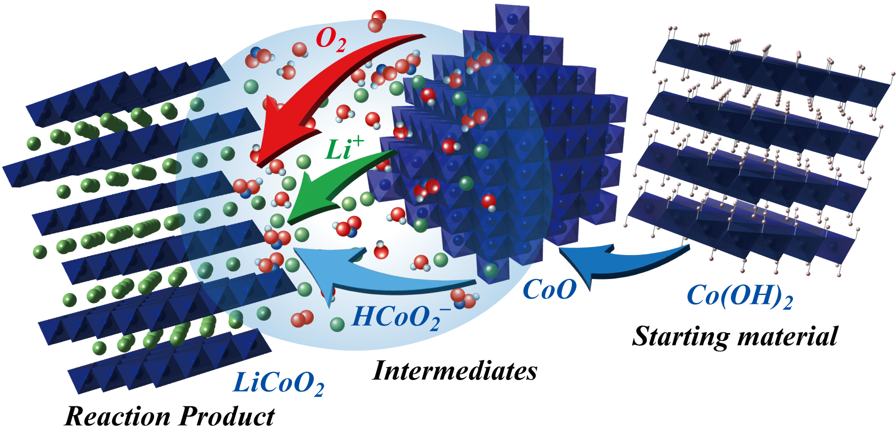 亚博体育在线-波尔图发布备战花絮；今晨篮板制胜；法国杯任务艰巨；团队化学反应显著-亚博体育在线